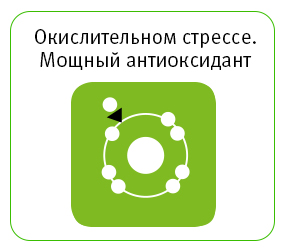 комбо1-16.jpg